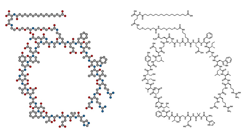 Semaglutid molecule 
